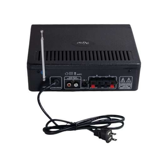 Westor MA-009 Audiovoice Amplificador de Audio 2 Ch 30W + 30W AC/DC 220V/12V 2 MIC USB/SD/FM MA-009 AUDIOVOICE