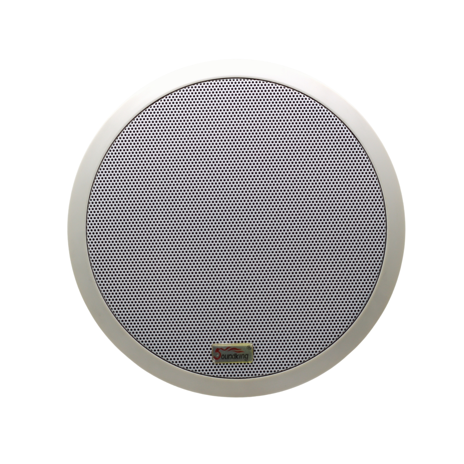 HC6-1 2 Westor HC6-1 SOUNDKING Parlante Ambiental Pasivo Coaxial 150W HC6-1 SOUNDKING